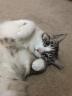 Filename: asher.jpg
Size: 21.31 KB
12-10-2013, 09:22 AM